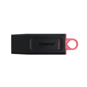 0000000000414352127060414352-1.png Pen Drive KINGSTON 256GB USB 3.2 DTX