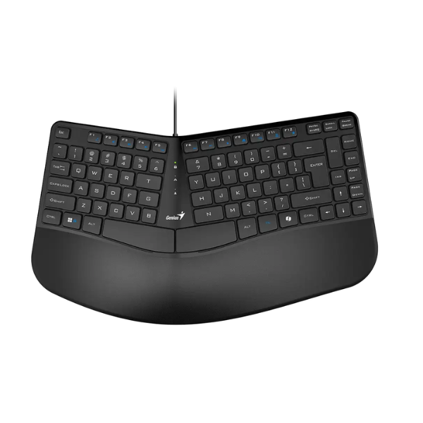 Teclado Genius Ergo KB-700,BLK,SP,USB