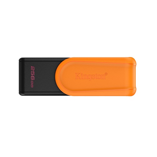 Pen Drive KINGSTON 256GB USB 3.2  DTXS