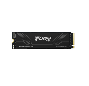000000000041760569921417605-1-.png Disco SSD M.2 KINGSTON FURY RENEGADE 1000 GB NVMe GEN5 PCIe 5.0