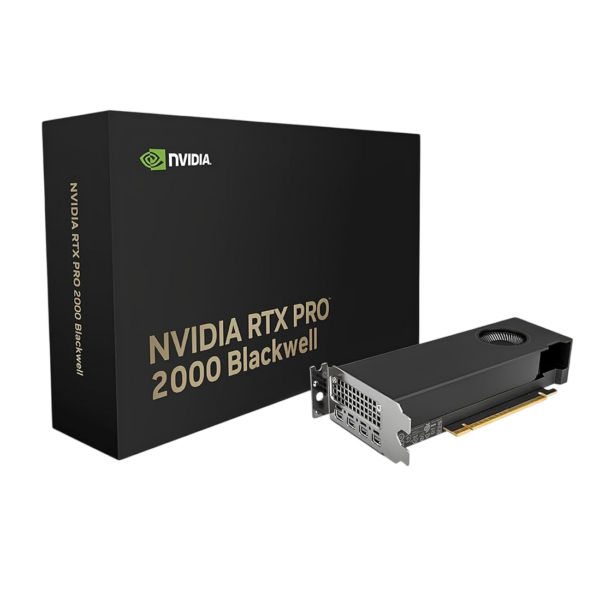 0000000000418331803731-Photoroom-1-1-1.png VGA PNY QUADRO RTX PRO 2000 Blackwell 16Gb GDDR7 4x Mini Display Port