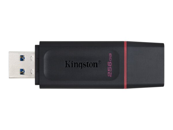 79c8518d-8540-4366-b9f5-b805eb5c44f6.jpg USB 256G KI DT EXODIA 3.2 G1